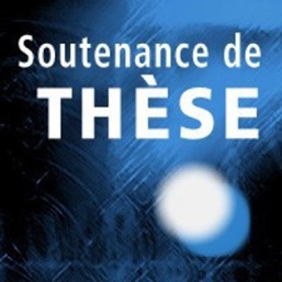 Publication 3